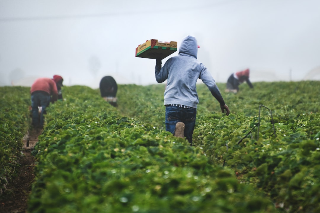 Photo Sweaty farmers